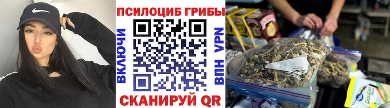 Купить  Орёл  Псилоцибиновые грибы Psilocybe 